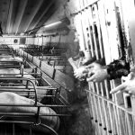 Benefit per le/i prigionier*: solidali con alcun*, oppressori con altr*
